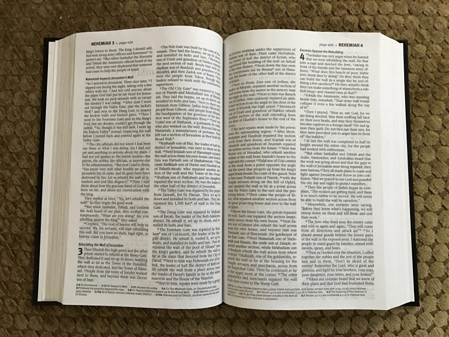 Reading cover-to-cover - The Bible